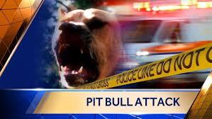 Pitbull Attack.bmp