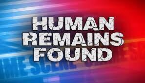human_remains_found.jpg