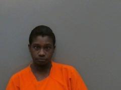 Mugshot of Johnson, Shanell