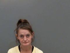 Mugshot of Mir, Kristy Danyell