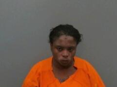 Mugshot of Smithdash, Lanisha