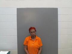 Mugshot of Clark, Christina