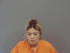 Mugshot of Vincent, Brandy