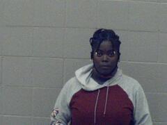 Mugshot of Boykin, Aniqua lashawn