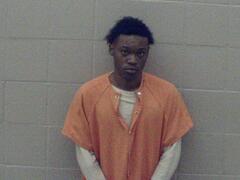 Mugshot of Pam, Herbert 3rd