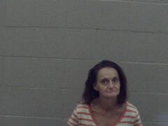 Mugshot of Mir, Kristy Danyell