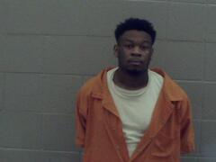 Mugshot of Wofford, Terry