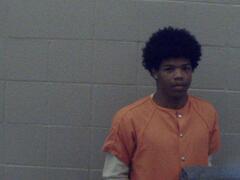 Mugshot of Shelton, Martavia