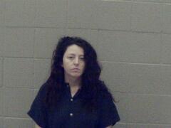 Mugshot of Allison, Sarah Nicole