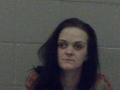 Mugshot of Pollock, Karen  