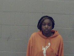 Mugshot of Burnett, Domonique