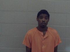 Mugshot of Fleming, Darquis Marquan