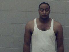 Mugshot of Mcgown, Gregory Lamont