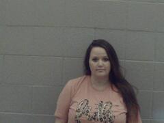 Mugshot of Hedden, Sara Renee