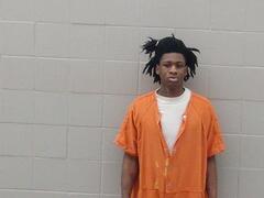 Mugshot of Mcgown, Corey