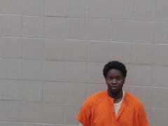 Mugshot of Johnson, Leon