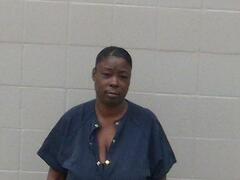 Mugshot of Lampkin, Natasha
