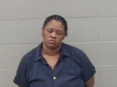 Mugshot of Freeman, Brandi  