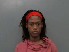 Mugshot of Hanley, Chiquilla Monia 